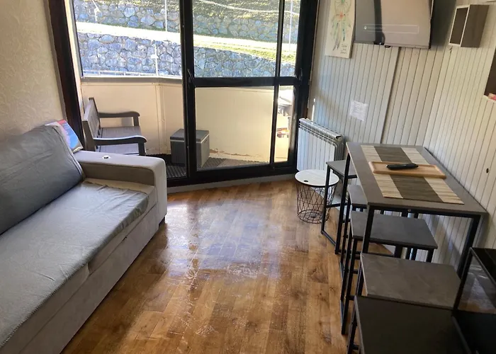 Apartament 4 Personnes Plat D'adet - 